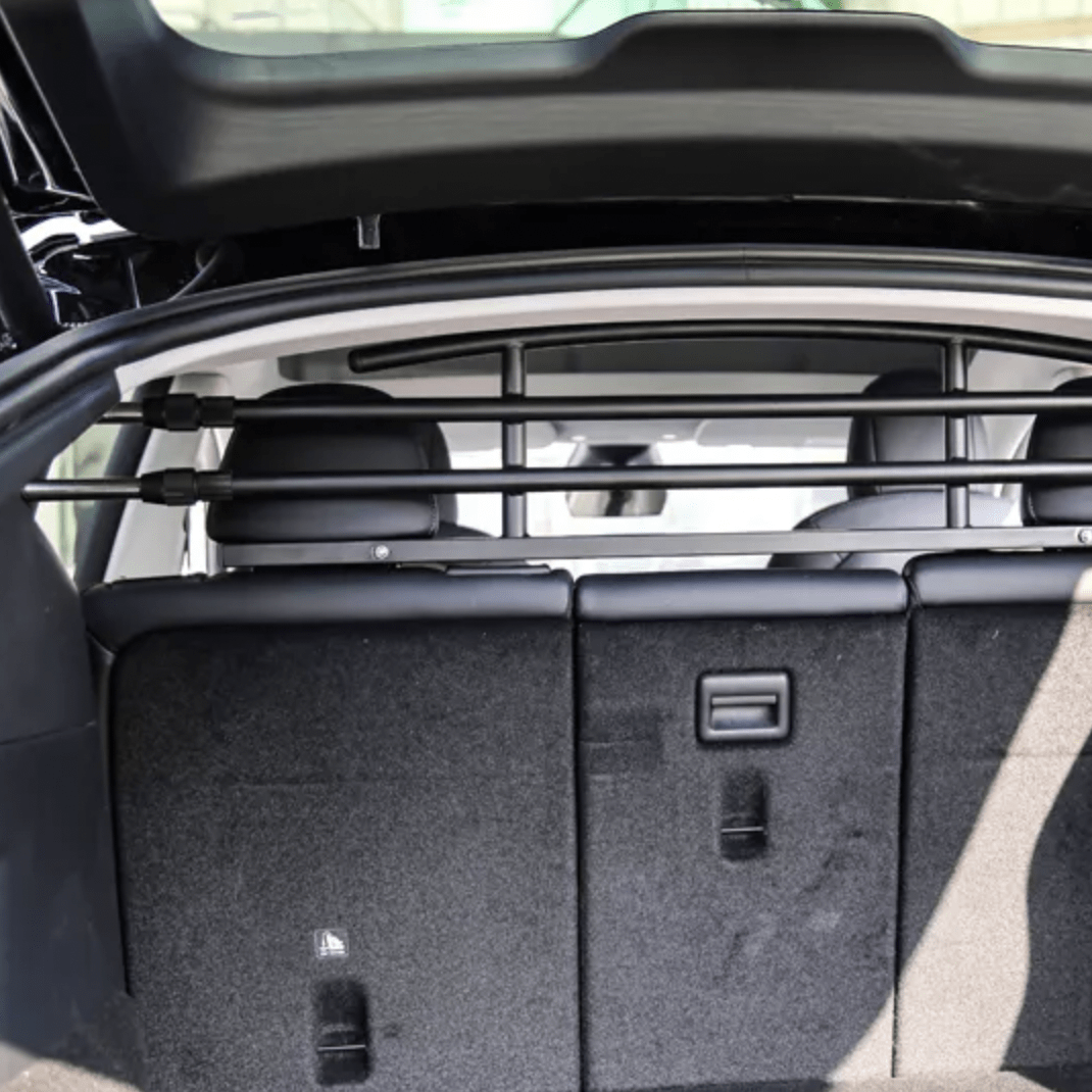 Hondenrek gezien vanuit de kofferbak in Tesla Model Y