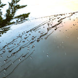 Glaco waterparels op autoruit van regenweer