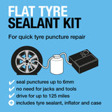 Ring RTK4 bandenreparatieset met sealant voor snelle lekreparatie.