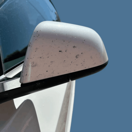 Insectenverwijderaar die gemakkelijk insecten van de zijspiegel van de auto verwijdert.