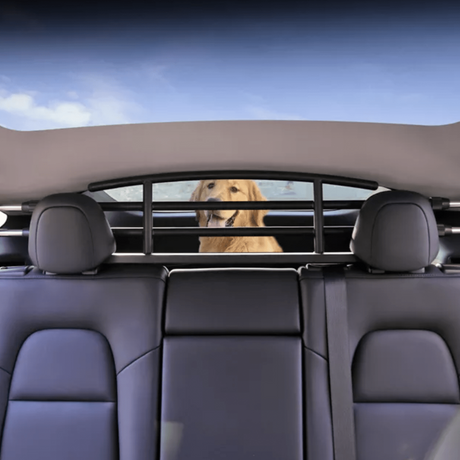 Hondenrek in Tesla Model Y met een blije hond in de kofferbak.