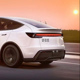 Sticker voor Tesla – "Love The Car - Not The CEO"