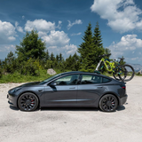 TreeFrog Pro 2 fietsendrager